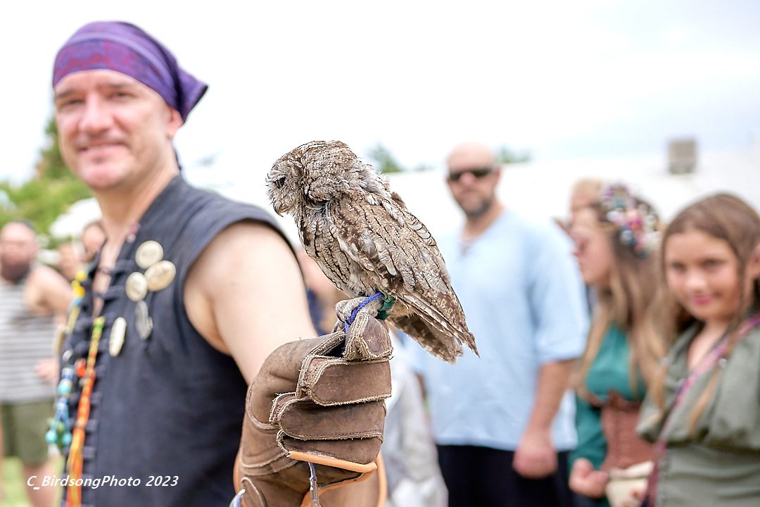 midsummer ig 2023midsummerA7R04277